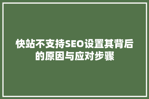快站不支持SEO设置其背后的原因与应对步骤