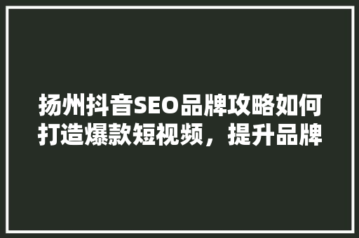扬州抖音SEO品牌攻略如何打造爆款短视频，提升品牌影响力