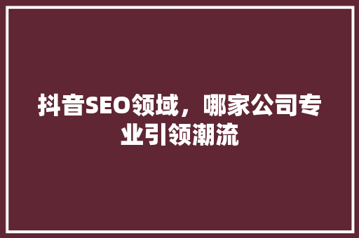 抖音SEO领域，哪家公司专业引领潮流