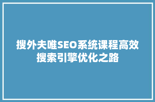 搜外夫唯SEO系统课程高效搜索引擎优化之路  第1张