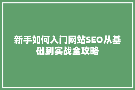 新手如何入门网站SEO从基础到实战全攻略