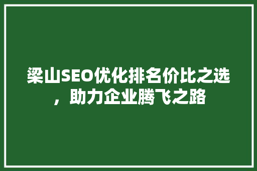梁山SEO优化排名价比之选，助力企业腾飞之路