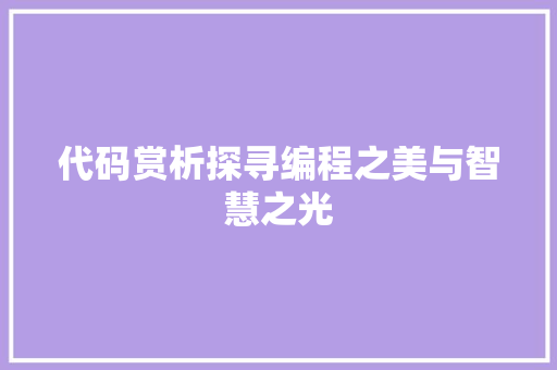 代码赏析探寻编程之美与智慧之光