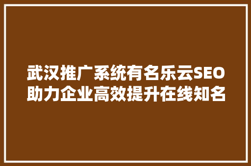 武汉推广系统有名乐云SEO助力企业高效提升在线知名度