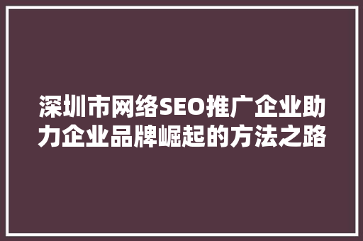 深圳市网络SEO推广企业助力企业品牌崛起的方法之路