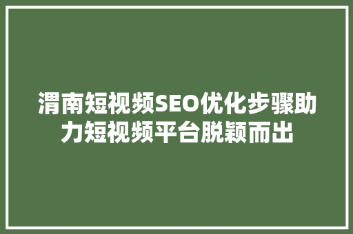 渭南短视频SEO优化步骤助力短视频平台脱颖而出