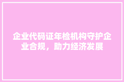 企业代码证年检机构守护企业合规，助力经济发展  第1张