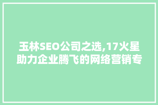 玉林SEO公司之选,17火星助力企业腾飞的网络营销专家