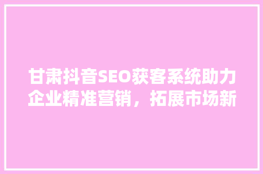 甘肃抖音SEO获客系统助力企业精准营销，拓展市场新空间