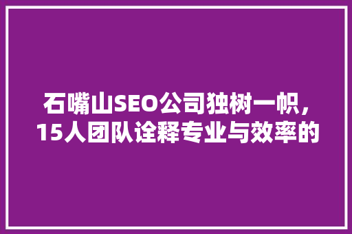 石嘴山SEO公司独树一帜，15人团队诠释专业与效率的完美结合