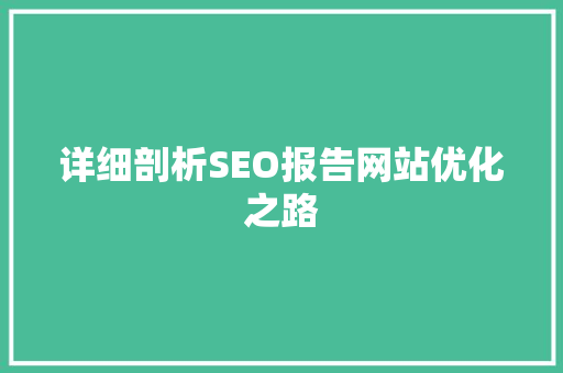 详细剖析SEO报告网站优化之路