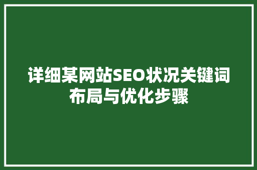 详细某网站SEO状况关键词布局与优化步骤