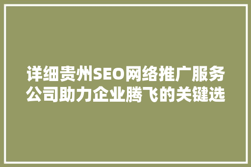 详细贵州SEO网络推广服务公司助力企业腾飞的关键选择  第1张