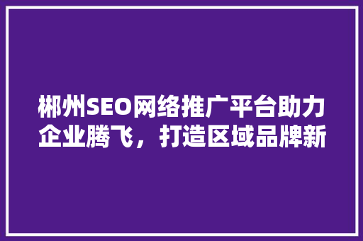 郴州SEO网络推广平台助力企业腾飞，打造区域品牌新标杆
