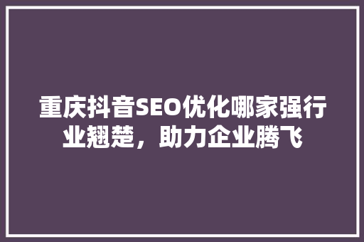 重庆抖音SEO优化哪家强行业翘楚，助力企业腾飞