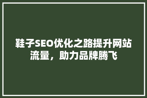 鞋子SEO优化之路提升网站流量，助力品牌腾飞  第1张
