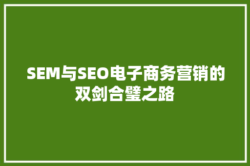 SEM与SEO电子商务营销的双剑合璧之路  第1张