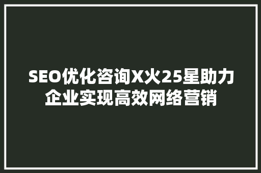 SEO优化咨询X火25星助力企业实现高效网络营销