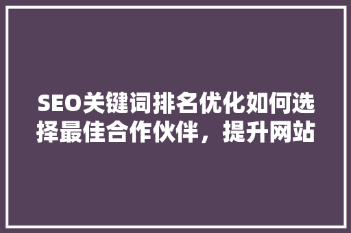 SEO关键词排名优化如何选择最佳合作伙伴，提升网站排名