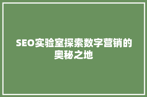 SEO实验室探索数字营销的奥秘之地