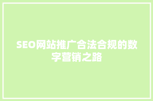 SEO网站推广合法合规的数字营销之路  第1张