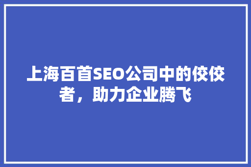 上海百首SEO公司中的佼佼者，助力企业腾飞