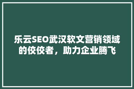 乐云SEO武汉软文营销领域的佼佼者，助力企业腾飞