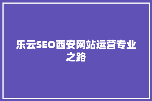 乐云SEO西安网站运营专业之路