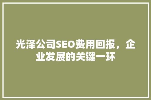 光泽公司SEO费用回报，企业发展的关键一环