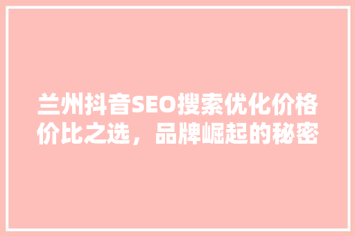 兰州抖音SEO搜索优化价格价比之选，品牌崛起的秘密武器  第1张