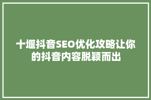 十堰抖音SEO优化攻略让你的抖音内容脱颖而出