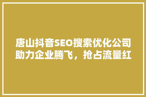 唐山抖音SEO搜索优化公司助力企业腾飞，抢占流量红利