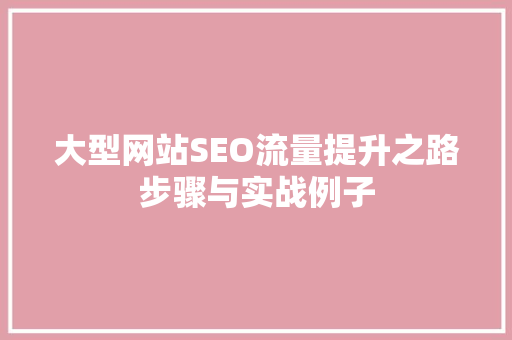 大型网站SEO流量提升之路步骤与实战例子  第1张