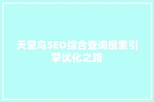 天堂鸟SEO综合查询搜索引擎优化之路