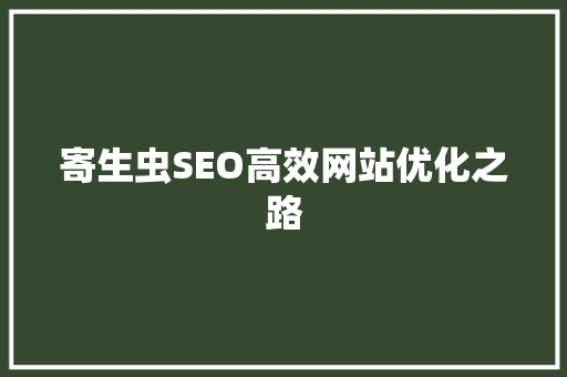 寄生虫SEO高效网站优化之路  第1张