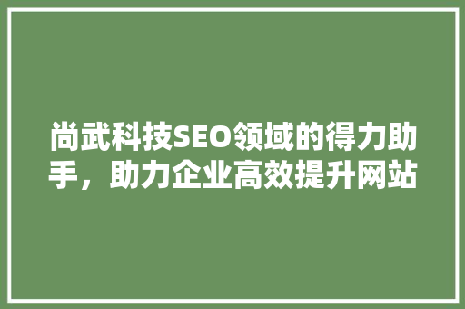 尚武科技SEO领域的得力助手，助力企业高效提升网站排名