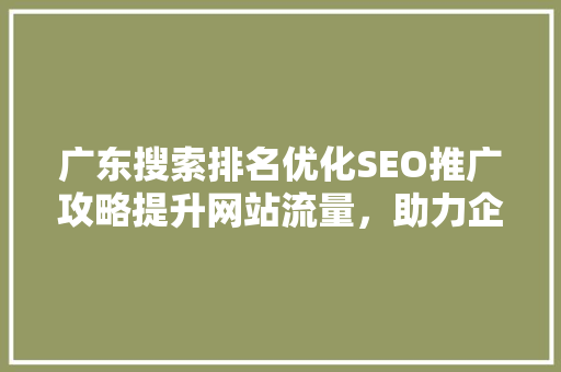 广东搜索排名优化SEO推广攻略提升网站流量，助力企业腾飞