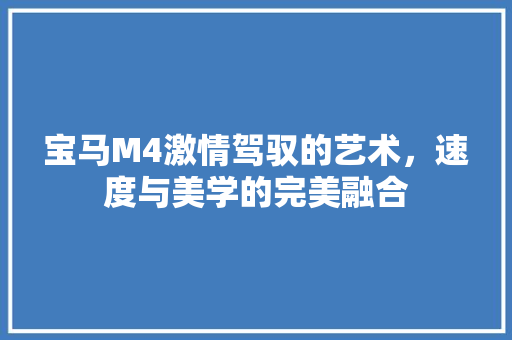 宝马M4激情驾驭的艺术，速度与美学的完美融合