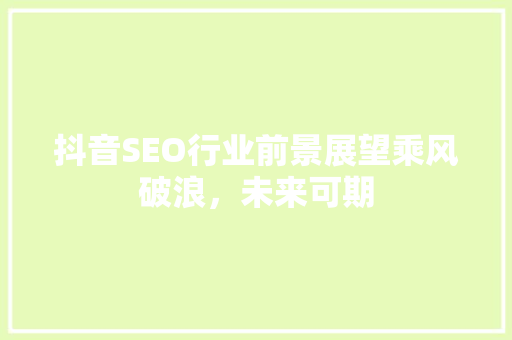 抖音SEO行业前景展望乘风破浪，未来可期
