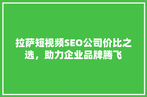 拉萨短视频SEO公司价比之选，助力企业品牌腾飞