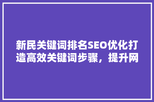 新民关键词排名SEO优化打造高效关键词步骤，提升网站流量与转化