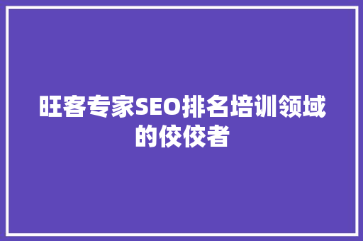 旺客专家SEO排名培训领域的佼佼者