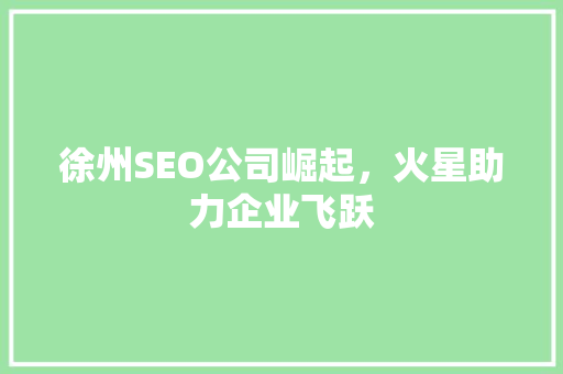 徐州SEO公司崛起，火星助力企业飞跃