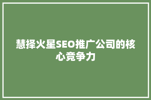 慧择火星SEO推广公司的核心竞争力