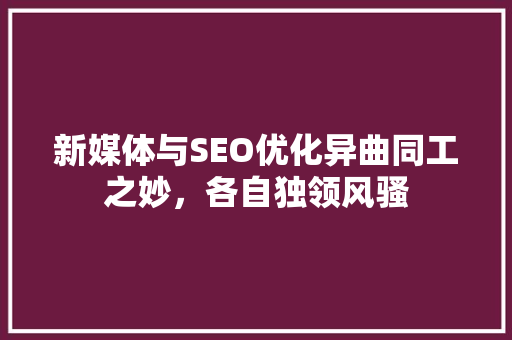 新媒体与SEO优化异曲同工之妙，各自独领风骚