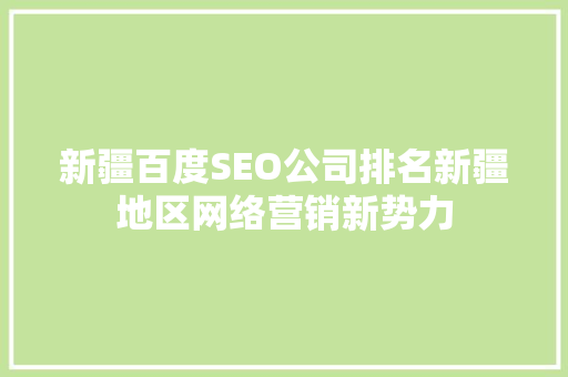 新疆百度SEO公司排名新疆地区网络营销新势力  第1张