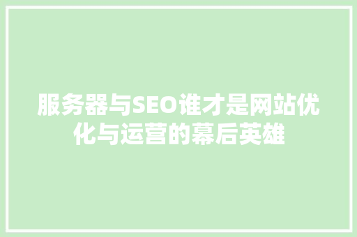 服务器与SEO谁才是网站优化与运营的幕后英雄