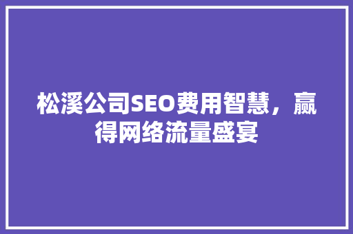 松溪公司SEO费用智慧，赢得网络流量盛宴  第1张