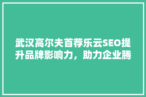 武汉高尔夫首荐乐云SEO提升品牌影响力，助力企业腾飞