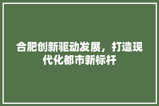 合肥创新驱动发展，打造现代化都市新标杆